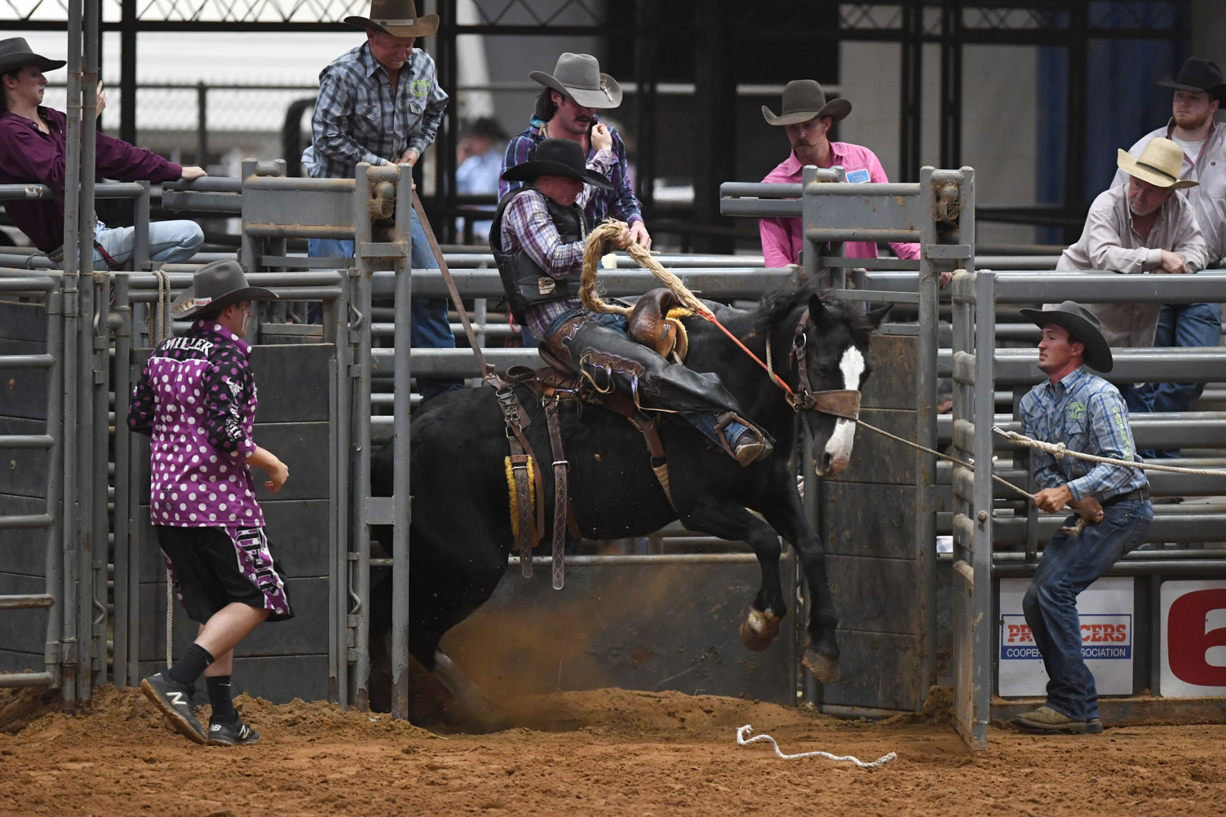Brazos Valley Fair and Rodeo